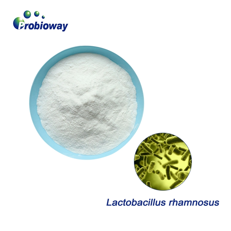 Lactobacillus Rhamnosus 200 Billion Probiotic Powder Food Nutraceutical Supplements ISO HACCP