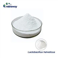 Високосилен Lactobacillus Helveticus