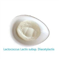 Органичен Lactococcus Lactis Subsp. Диацетилактис
